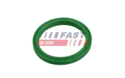 Dichtring, Ladeluftschlauch FAST FT49936