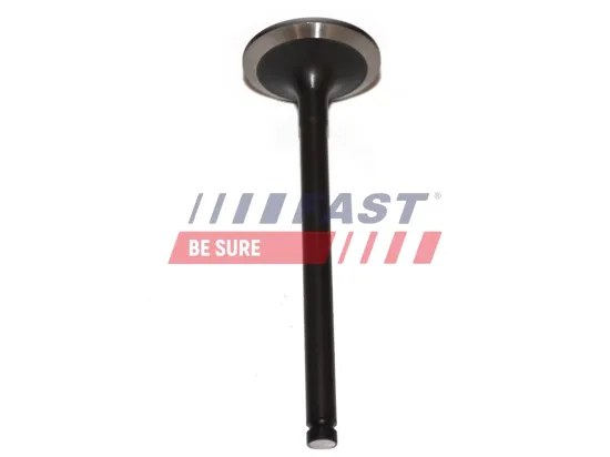 Einlassventil FAST FT50013 Bild Einlassventil FAST FT50013