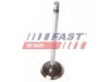 Einlassventil Einlassseite FAST FT50135 Bild Einlassventil Einlassseite FAST FT50135