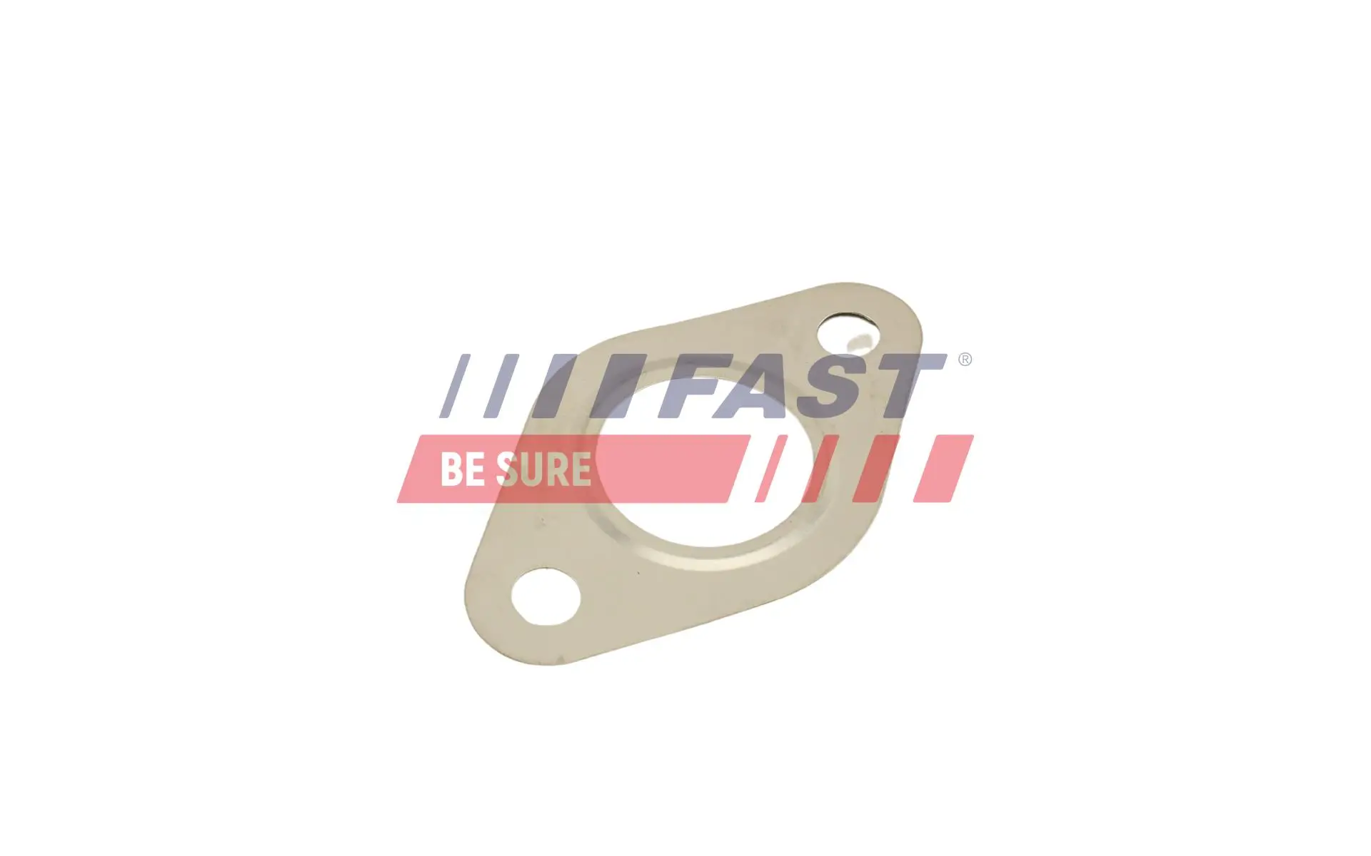 Dichtung, AGR-Ventil FAST FT50615