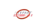 Dichtung, AGR-Ventil FAST FT50628
