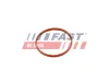 Dichtung, Unterdruckpumpe FAST FT50701