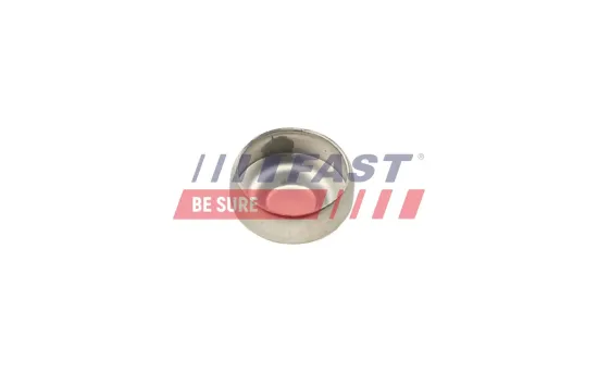 Froststopfen FAST FT50801 Bild Froststopfen FAST FT50801