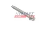 Schraube, Einspritzdüsenhalter FAST FT51603 Bild Schraube, Einspritzdüsenhalter FAST FT51603