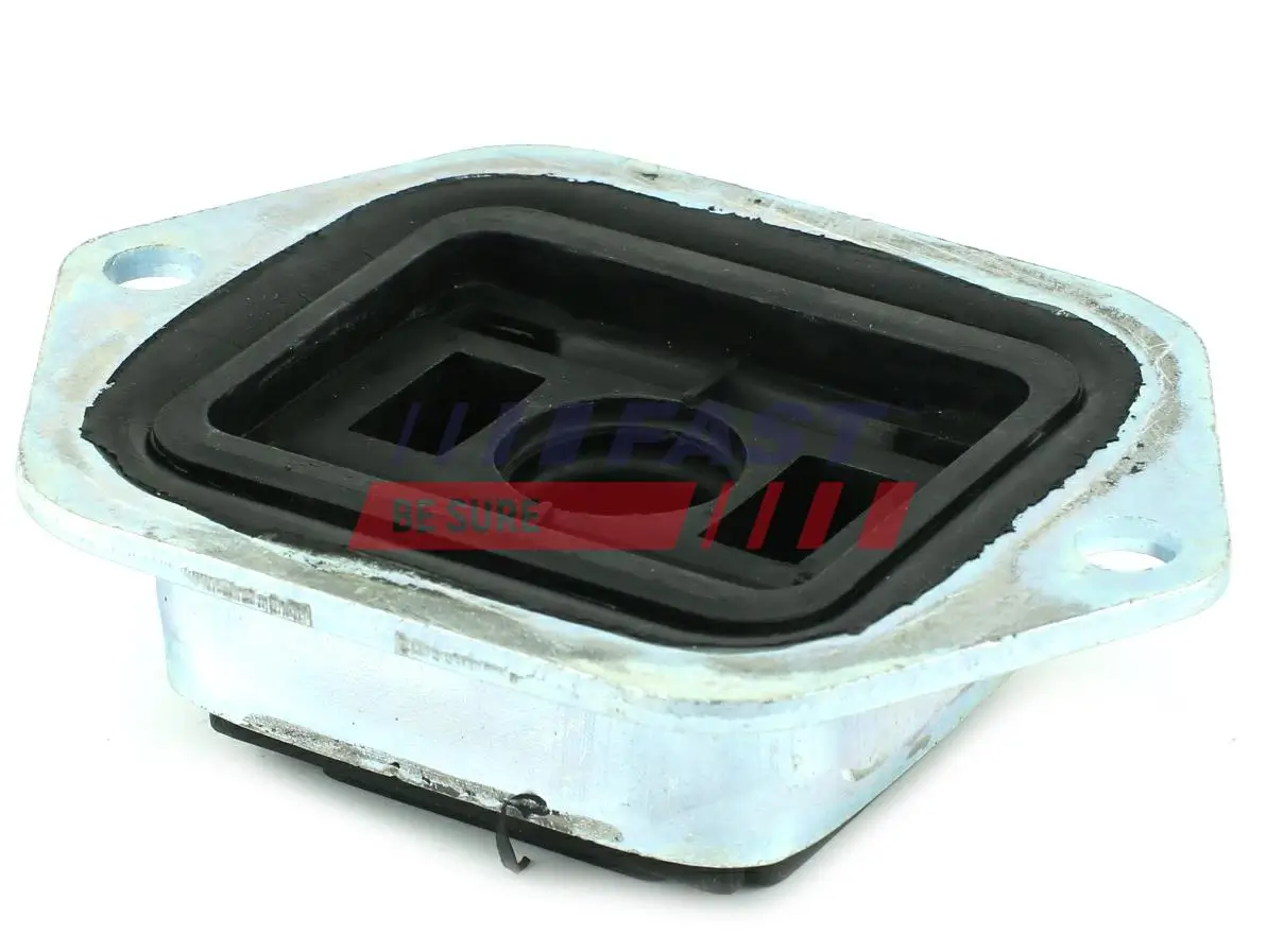 Lagerung, Achskörper Hinterachse links Hinterachse rechts FAST FT52009