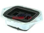 Lagerung, Achskörper Hinterachse links Hinterachse rechts FAST FT52009