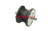 Lagerung, Motor hinten FAST FT52028 Bild Lagerung, Motor hinten FAST FT52028