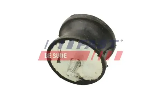 Lagerung, Motor hinten FAST FT52028 Bild Lagerung, Motor hinten FAST FT52028