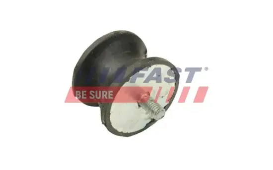 Lagerung, Motor hinten FAST FT52028 Bild Lagerung, Motor hinten FAST FT52028