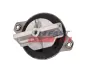 Lagerung, Motor hinten FAST FT52043 Bild Lagerung, Motor hinten FAST FT52043