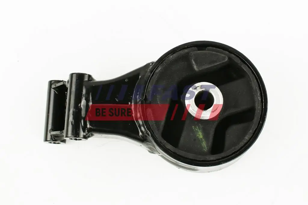 Lagerung, Motor hinten FAST FT52070
