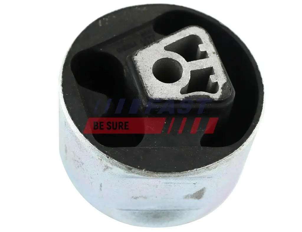 Lagerung, Motor hinten FAST FT52515