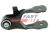 Lagerung, Motor unten mitte FAST FT52516