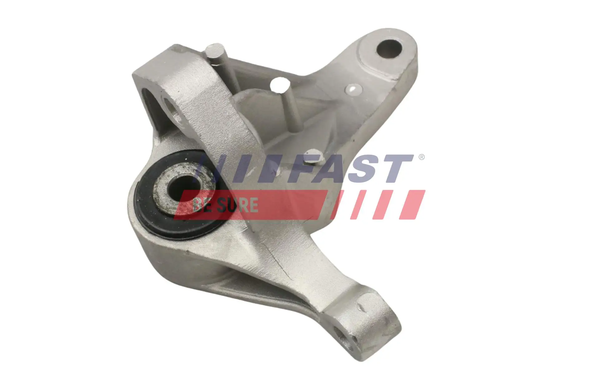 Lagerung, Motor hinten FAST FT52657