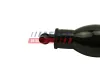 Kraftstoffpumpe FAST FT53047 Bild Kraftstoffpumpe FAST FT53047