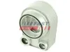 &Ouml;lk&uuml;hler, Motor&ouml;l FAST FT55207