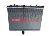 Kühler, Motorkühlung FAST FT55254
