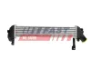 Ladeluftkühler FAST FT55591 Bild Ladeluftkühler FAST FT55591