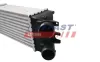 Ladeluftkühler FAST FT55600 Bild Ladeluftkühler FAST FT55600