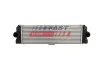 Ladeluftkühler FAST FT55603 Bild Ladeluftkühler FAST FT55603