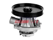 Wasserpumpe, Motorkühlung FAST FT57058