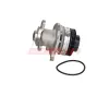 Wasserpumpe, Motorkühlung FAST FT57181 Bild Wasserpumpe, Motorkühlung FAST FT57181