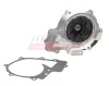 Wasserpumpe, Motorkühlung FAST FT57194 Bild Wasserpumpe, Motorkühlung FAST FT57194