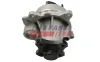 Wasserpumpe, Motorkühlung FAST FT57200 Bild Wasserpumpe, Motorkühlung FAST FT57200