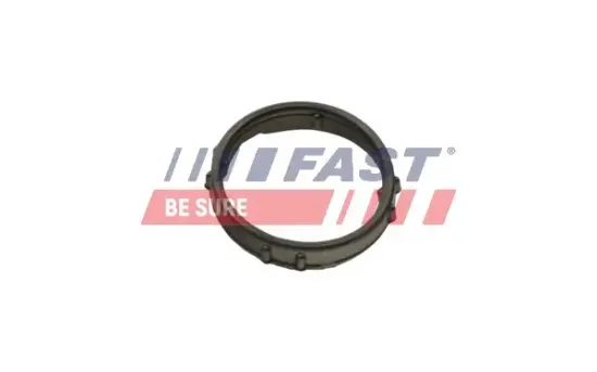 Dichtung, Wasserpumpe Wasserpumpe FAST FT57406 Bild Dichtung, Wasserpumpe Wasserpumpe FAST FT57406