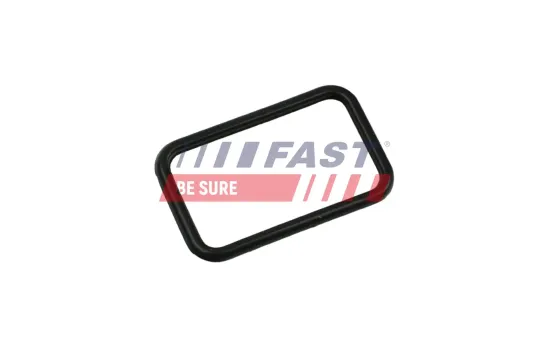 Dichtung, Wasserpumpe FAST FT57407 Bild Dichtung, Wasserpumpe FAST FT57407