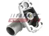 Thermostat, Kühlmittel FAST FT58006