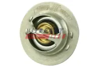 Thermostat, Kühlmittel FAST FT58009