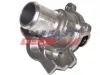 Thermostat, Kühlmittel FAST FT58164