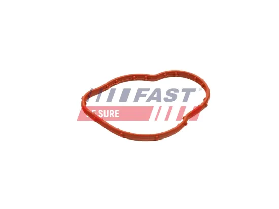 Dichtung, Thermostat FAST FT58305 Bild Dichtung, Thermostat FAST FT58305