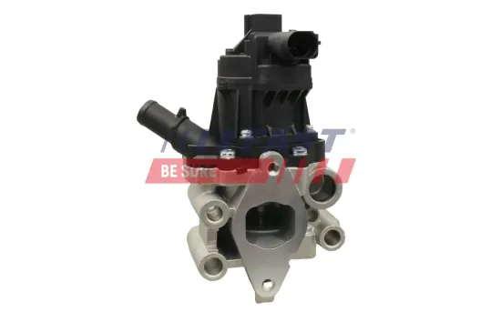 AGR-Ventil FAST FT60202 Bild AGR-Ventil FAST FT60202