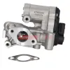 AGR-Ventil FAST FT60208 Bild AGR-Ventil FAST FT60208