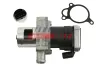 AGR-Ventil 12 V FAST FT60221