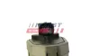 AGR-Ventil 12 V FAST FT60222 Bild AGR-Ventil 12 V FAST FT60222