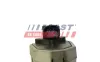 AGR-Ventil 12 V FAST FT60222 Bild AGR-Ventil 12 V FAST FT60222