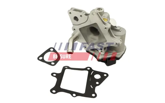 AGR-Ventil FAST FT60231 Bild AGR-Ventil FAST FT60231