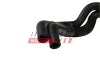 Kühlerschlauch FAST FT61109 Bild Kühlerschlauch FAST FT61109