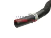 Kühlerschlauch Einlassseite FAST FT61488 Bild Kühlerschlauch Einlassseite FAST FT61488