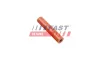 Schlauchverbindersatz, Drucksensor (Ruß-/Partikelfilter) FAST FT63806 Bild Schlauchverbindersatz, Drucksensor (Ruß-/Partikelfilter) FAST FT63806