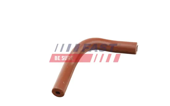 Rohrleitung, AGR-Ventil FAST FT63808 Bild Rohrleitung, AGR-Ventil FAST FT63808
