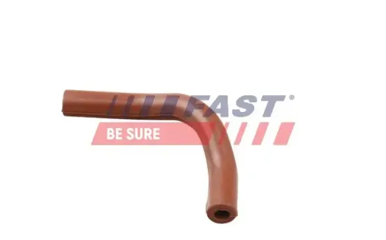 Rohrleitung, AGR-Ventil FAST FT63808 Bild Rohrleitung, AGR-Ventil FAST FT63808