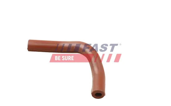 Rohrleitung, AGR-Ventil FAST FT63808 Bild Rohrleitung, AGR-Ventil FAST FT63808