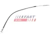 Seilzug, Feststellbremse hinten links hinten rechts FAST FT69160
