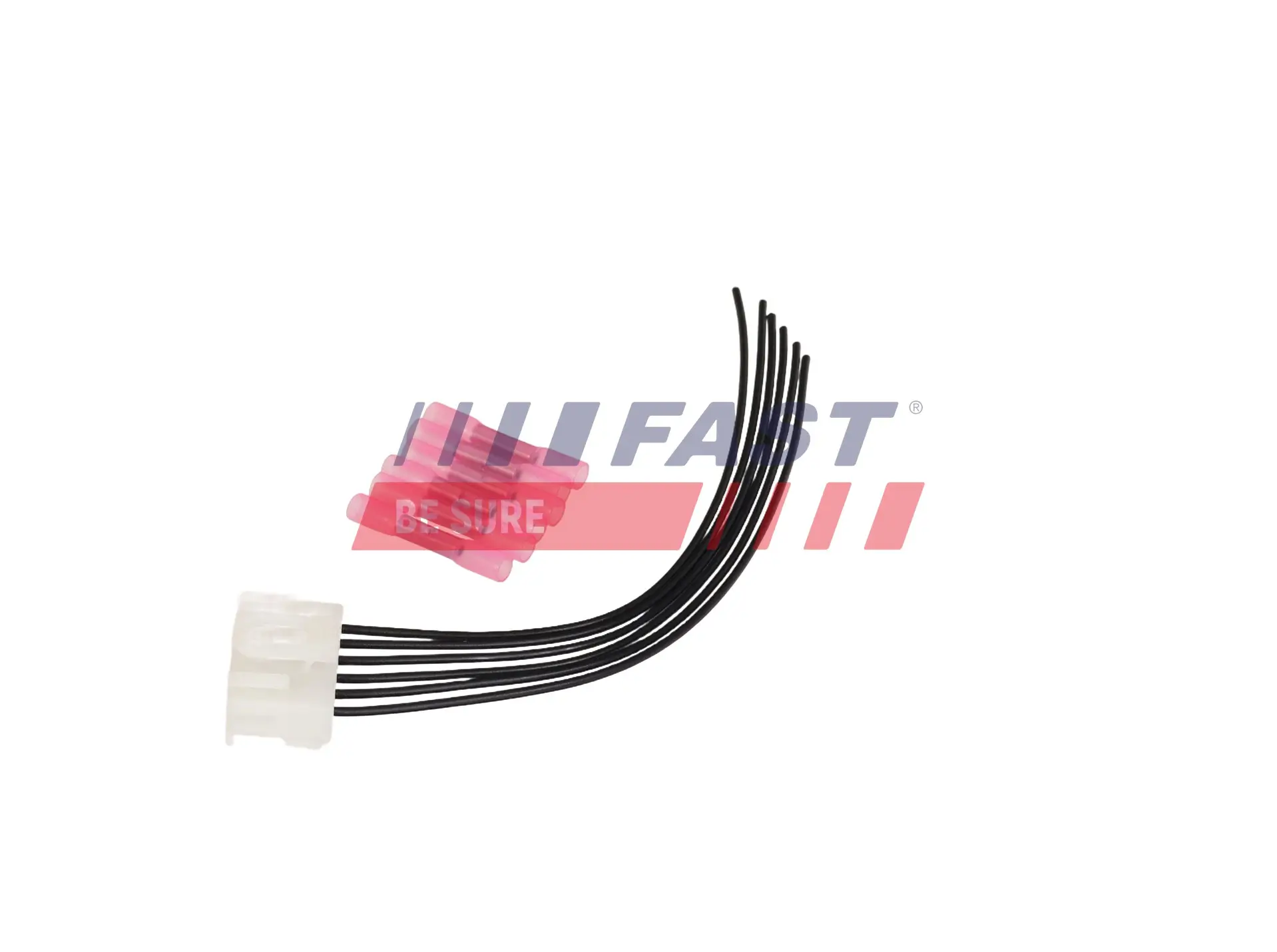 Türgriff, Innenausstattung vorne rechts FAST FT94409