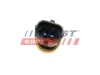 Sensor, Kühlmitteltemperatur FAST FT80131 Bild Sensor, Kühlmitteltemperatur FAST FT80131
