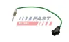 Sensor, Abgastemperatur FAST FT80252 Bild Sensor, Abgastemperatur FAST FT80252